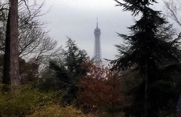 The Eiffel Tower pictured from the parkrun cafe